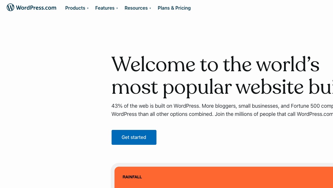 WordPress website
